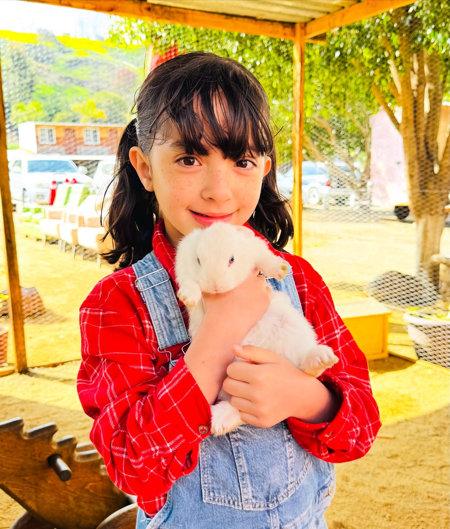Niña cargando un conejo en la granja
