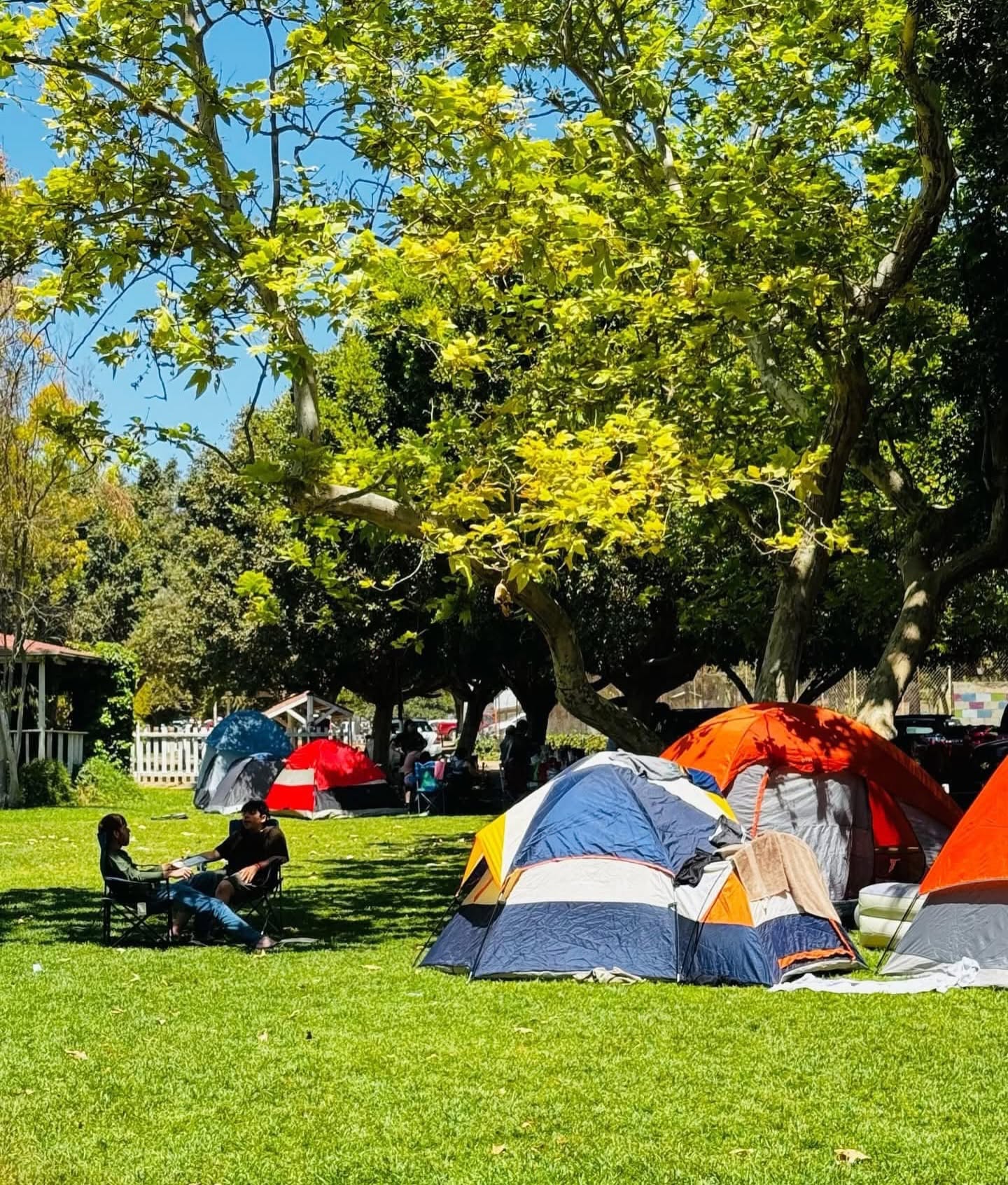 Zona de camping con casas de campaña bajo los árboles